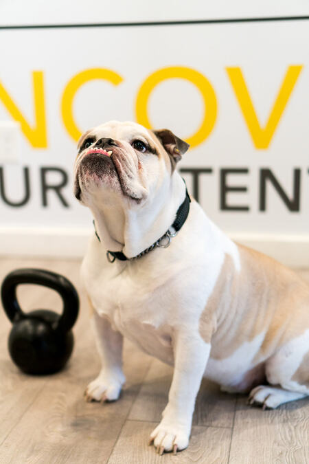Winston