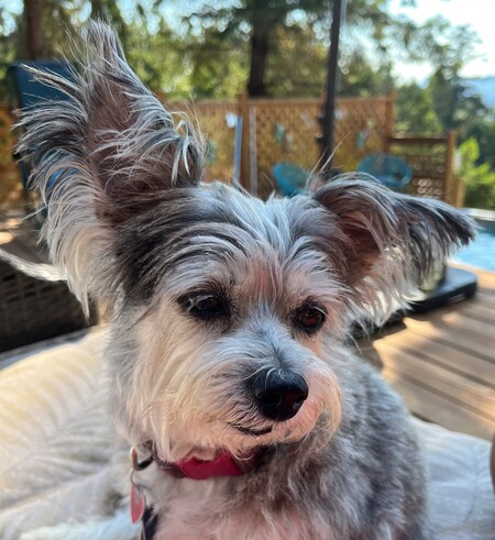 Zoey