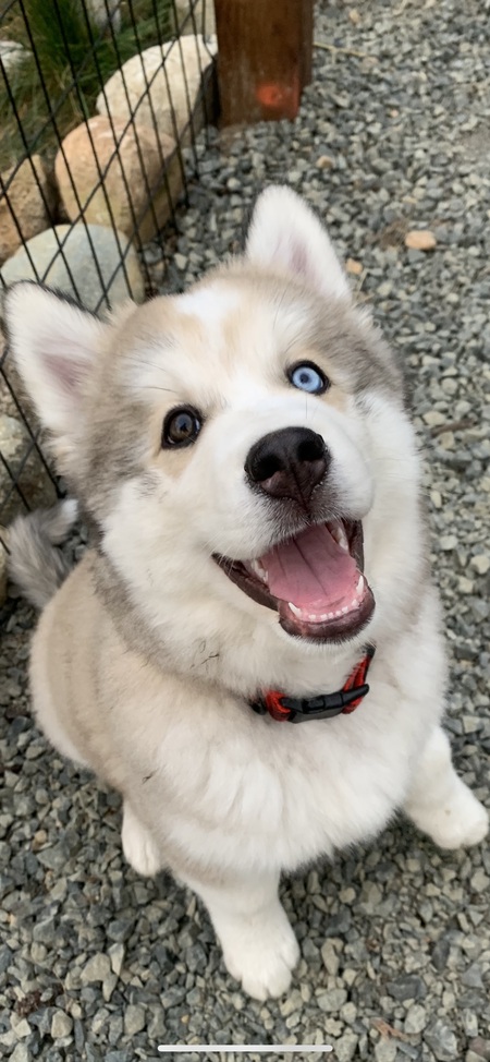 Po