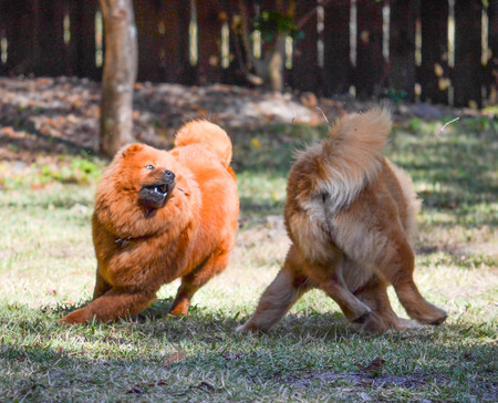 Leo and Molly