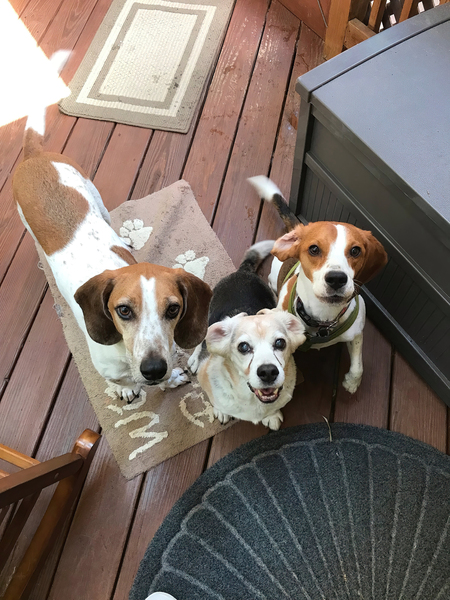 Luther, Watson, Dex