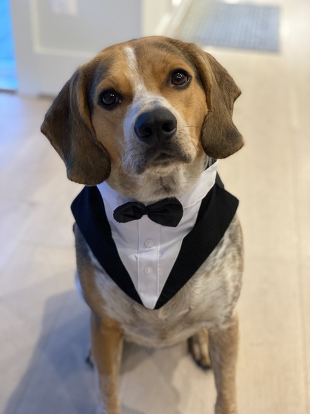 Cooper