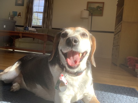 Pete
