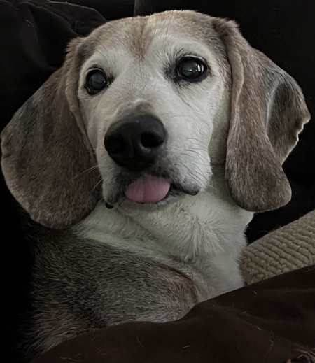 Finnegan