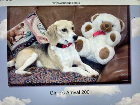 GIRLIE