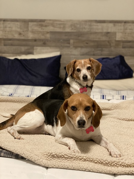 Dixie & Dillan