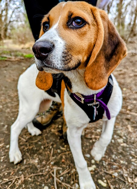 Ellie