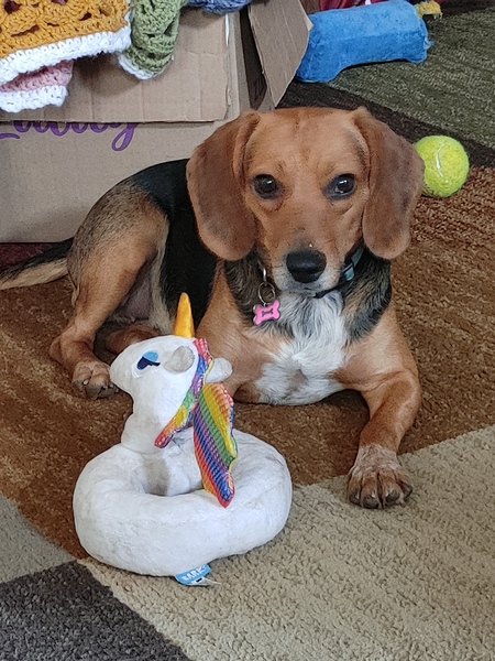 Lily