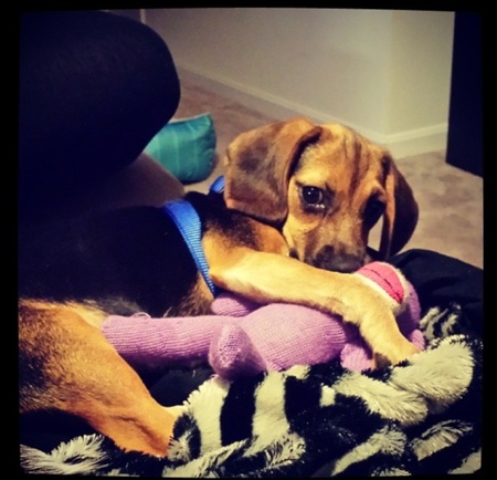 Lilah