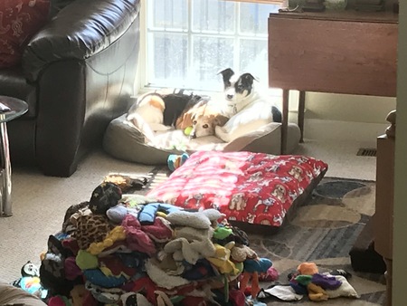 Lexi and Willa