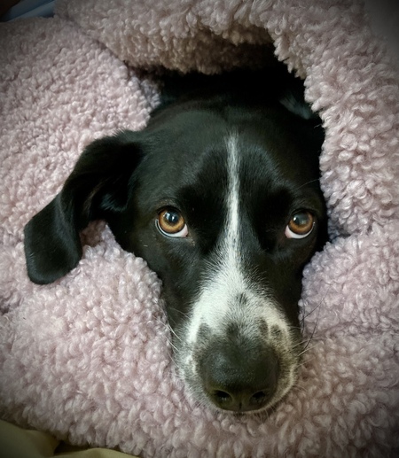 Sweet Misty Girl