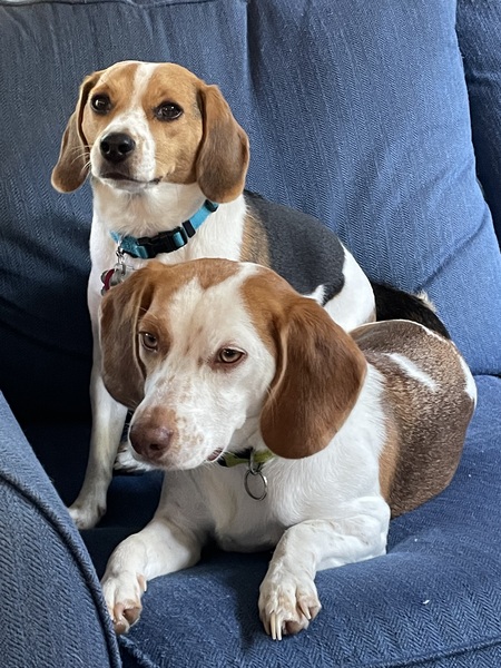Phoebe and Pepper