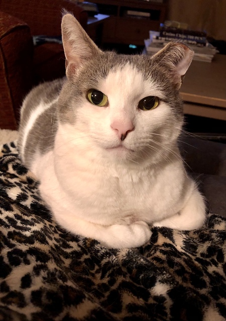 Lucy