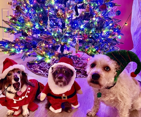 Linda, Milton, Cherry