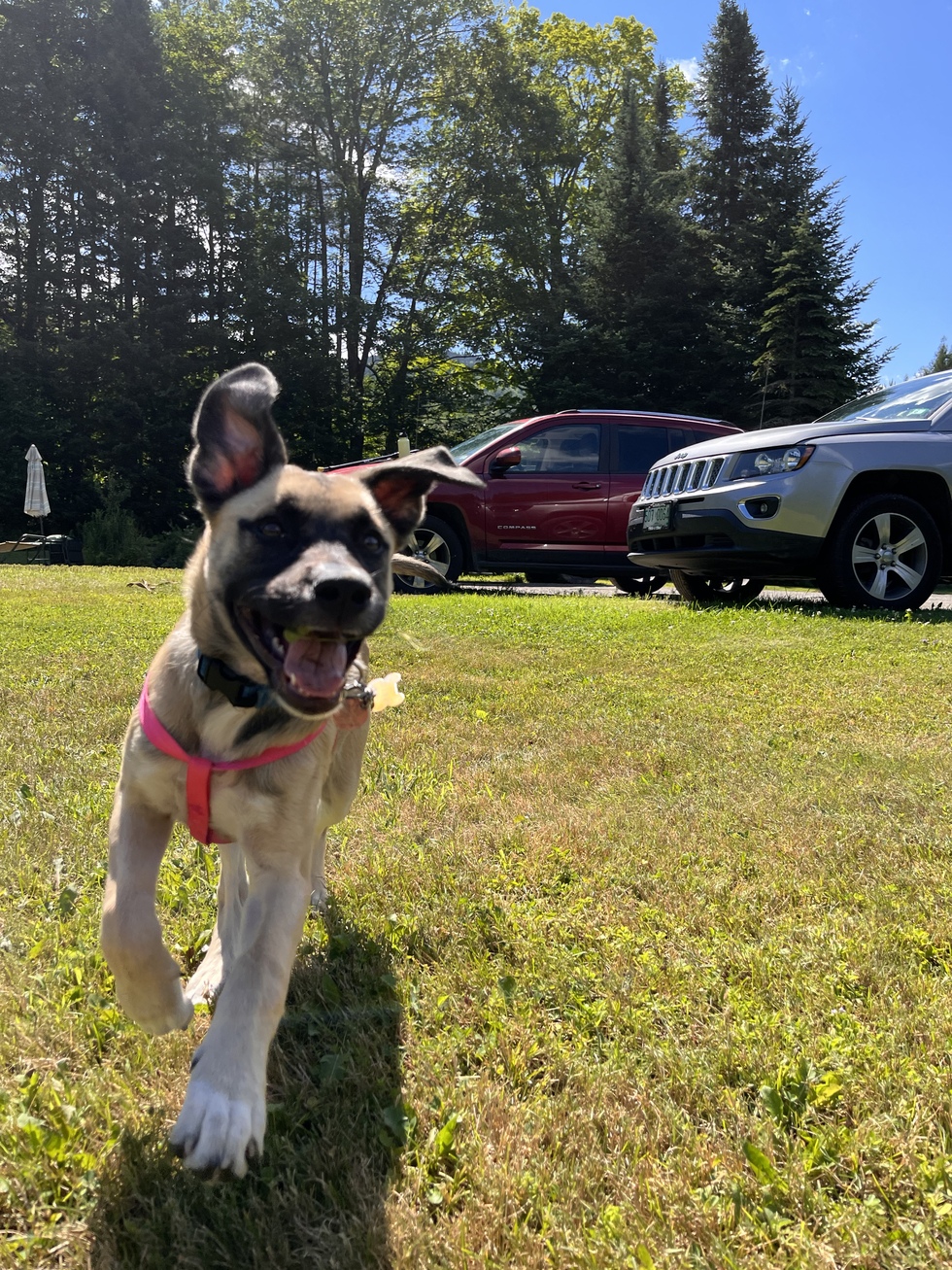 Vote for Sawyer CVHS 2022 Calendar Photo Contest