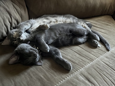 Tucker and Luna