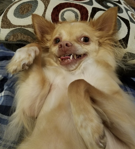 Milo