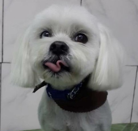 COOPER