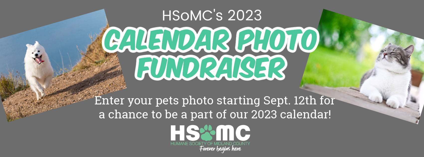 Humane Society Of Midland County HSoMC s 2023 Calendar Photo Fundraiser humane-society-of-midland-county-hsomc-s-2023-calendar-photo-fundraiser
