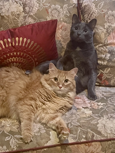Ricky Bobby and Vladimir 