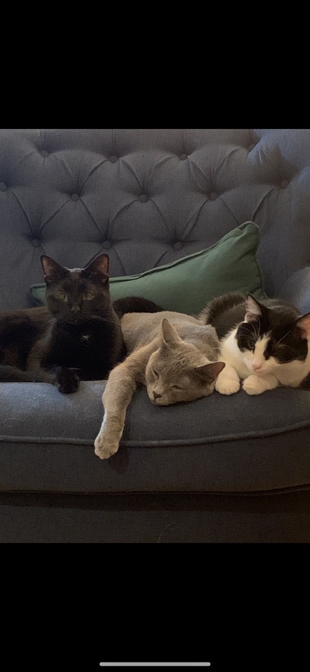 Spud, McLovin’ and Chance 