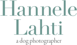 Hannele Lahti