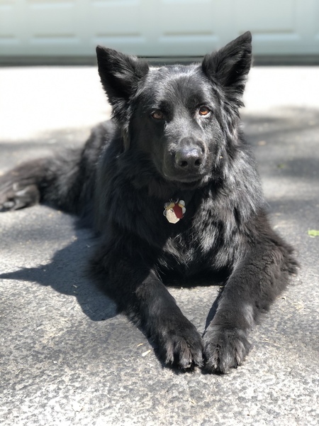 Odin