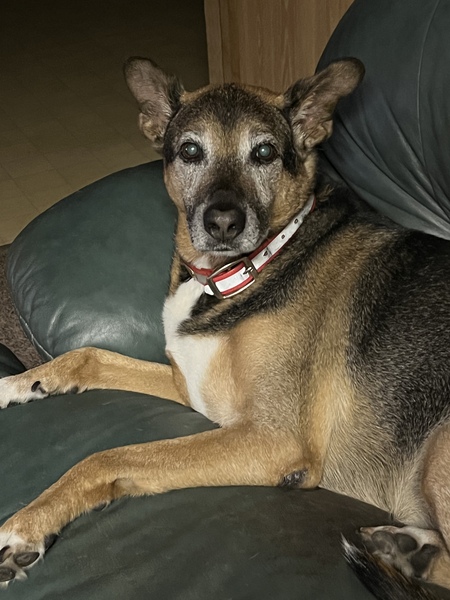 Snickers 