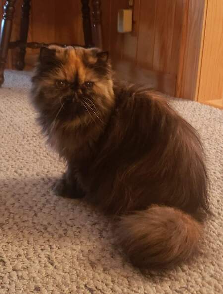 Lucy