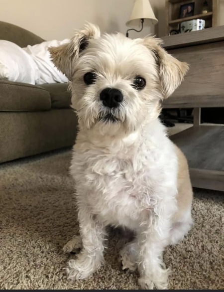 Charlie