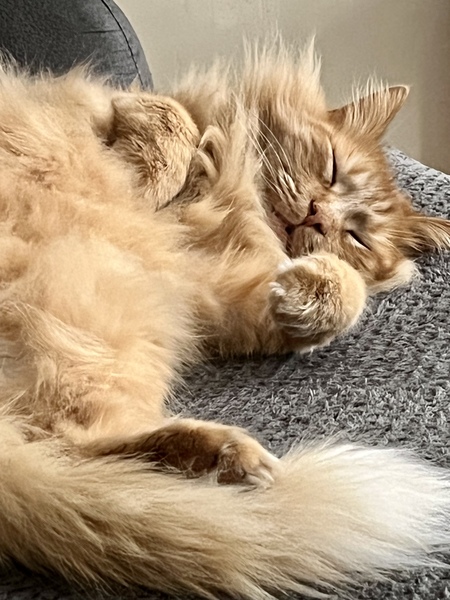 Rusty