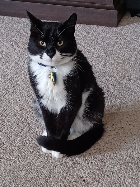 Charlie