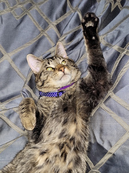 Charlie