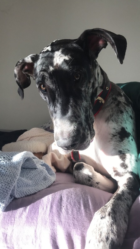 Penny