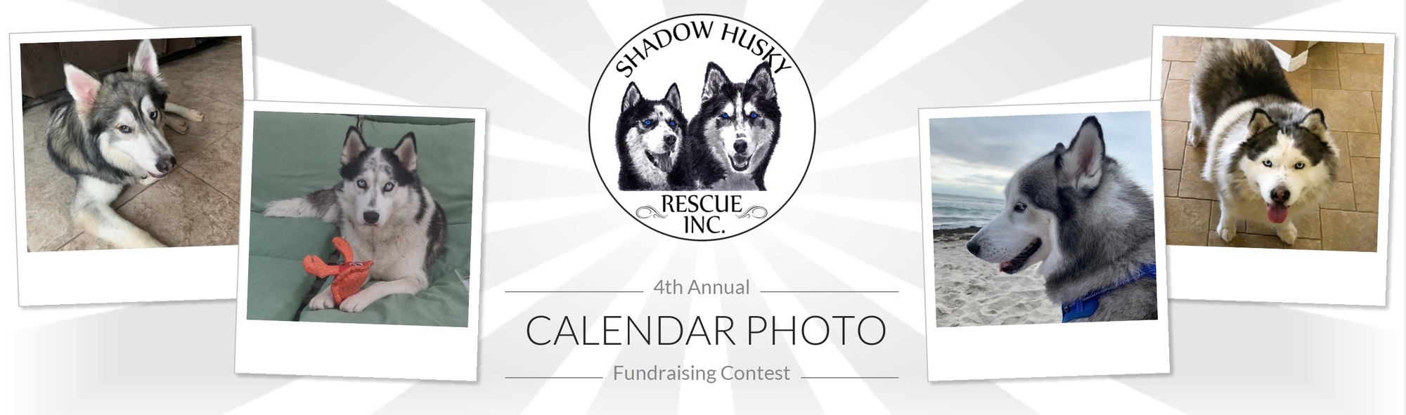 Banner for Shadow Husky Rescue: "Huskies, Comfort & Joy" 4th  Annual Calendar Photo Fundraising Contest