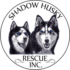 Logo for Shadow Husky Rescue: "Huskies, Comfort & Joy" 4th  Annual Calendar Photo Fundraising Contest