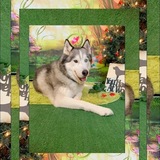 Entry image for Atlas