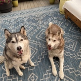 Entry image for Marco and Arya