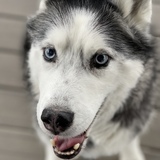 Entry image for Mehkia