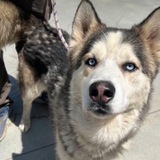 Entry image for Marco