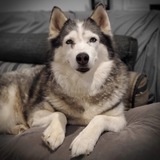 Entry image for Athena