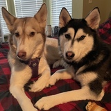 Entry image for Delta and Dakota