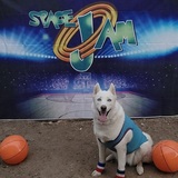 Entry image for Halo