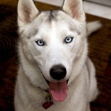 Entry image for Nyra