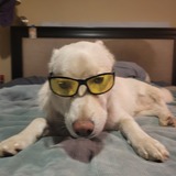 Entry image for Tres Leche 