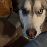 Entry image for LULU