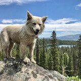 Entry image for Tessa (Princess of Downey)