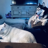 Entry image for Aliki & Hunter Spindel