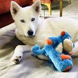 Entry image for Callie