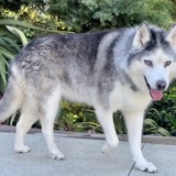 Entry image for Jenna